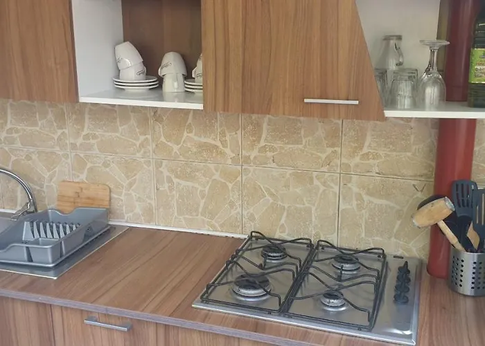 Lidia ホームステイ *